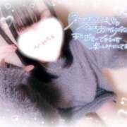 ヒメ日記 2025/03/18 00:59 投稿 るる ダイスキ