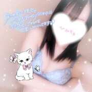 ヒメ日記 2025/05/26 03:09 投稿 るる ダイスキ