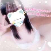 ヒメ日記 2025/06/07 13:24 投稿 るる ダイスキ