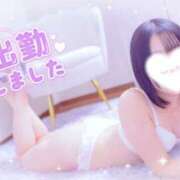 ヒメ日記 2025/11/03 18:53 投稿 るる ダイスキ