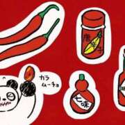 ヒメ日記 2026/03/05 13:42 投稿 るる ダイスキ