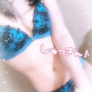 ヒメ日記 2026/06/20 09:45 投稿 るる ダイスキ