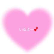 ヒメ日記 2025/11/12 16:14 投稿 えみり パンドラ(上野)