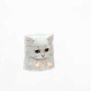 ヒメ日記 2025/12/25 15:39 投稿 えみり パンドラ(上野)