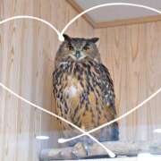 ヒメ日記 2025/06/04 21:40 投稿 新人　えいみ MADAME Luxe