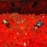 ヒメ日記 2025/01/24 01:06 投稿 りお ぼくらのデリヘルランドin久喜店