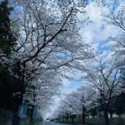 ヒメ日記 2025/04/07 16:06 投稿 りお ぼくらのデリヘルランドin久喜店