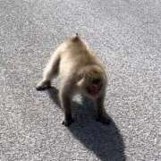 ヒメ日記 2025/04/18 23:06 投稿 りお ぼくらのデリヘルランドin久喜店