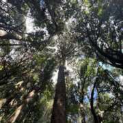 ヒメ日記 2025/04/20 09:56 投稿 りお ぼくらのデリヘルランドin久喜店