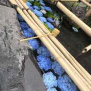 ヒメ日記 2025/06/15 10:26 投稿 りお ぼくらのデリヘルランドin久喜店