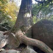 ヒメ日記 2025/06/29 21:26 投稿 りお ぼくらのデリヘルランドin春日部・久喜店