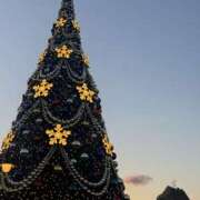 ヒメ日記 2025/12/25 14:56 投稿 りお ぼくらのデリヘルランドin久喜店