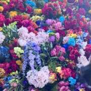 ヒメ日記 2026/03/07 22:56 投稿 りお ぼくらのデリヘルランドin春日部・久喜店