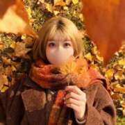 ヒメ日記 2025/11/26 13:03 投稿 める MONTE(モンテ)