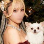 ヒメ日記 2025/12/23 08:00 投稿 める MONTE(モンテ)