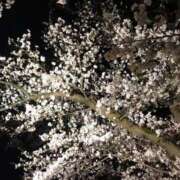 ヒメ日記 2025/03/04 23:57 投稿 すみれ エスッテ×エスッテ