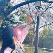 ヒメ日記 2025/04/08 15:23 投稿 すみれ エスッテ×エスッテ