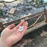 ヒメ日記 2025/04/12 15:31 投稿 すみれ エスッテ×エスッテ