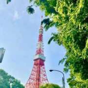 ヒメ日記 2025/05/14 15:31 投稿 すみれ エスッテ×エスッテ