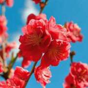 ヒメ日記 2025/02/20 21:10 投稿 佐久間　あい プルプル人妻専門店