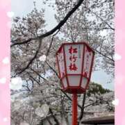 ヒメ日記 2025/04/11 18:30 投稿 佐久間　あい プルプル人妻専門店