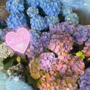 ヒメ日記 2025/06/27 15:57 投稿 佐久間　あい プルプル人妻専門店