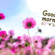 ヒメ日記 2025/07/20 08:23 投稿 佐久間　あい プルプル人妻専門店