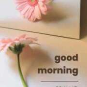 ヒメ日記 2025/07/29 08:22 投稿 佐久間　あい プルプル人妻専門店