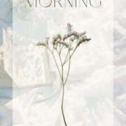 ヒメ日記 2025/12/06 08:46 投稿 佐久間　あい プルプル人妻専門店