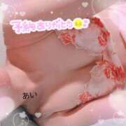 ヒメ日記 2026/03/08 11:50 投稿 佐久間　あい プルプル人妻専門店