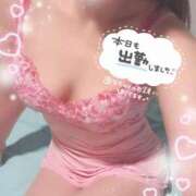 ヒメ日記 2026/08/02 09:45 投稿 佐久間　あい プルプル人妻専門店