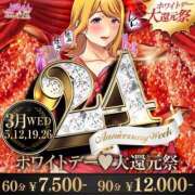 ヒメ日記 2025/03/12 09:47 投稿 ありす ぷるるん小町 京橋店