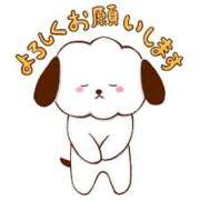 ヒメ日記 2024/12/27 09:05 投稿 まりん ダイスキ