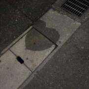 めい お久しぶりの日記💖 フィエスタ