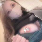 ヒメ日記 2026/04/29 21:19 投稿 朝桐　しゅり club BLENDA 天王寺・谷9天高ビル店