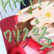 ヒメ日記 2024/12/24 08:15 投稿 れい 素人妻御奉仕倶楽部Hip's取手店