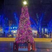 ヒメ日記 2024/12/24 18:35 投稿 れい 素人妻御奉仕倶楽部Hip's取手店