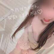 ヒメ日記 2025/01/23 07:55 投稿 れい 素人妻御奉仕倶楽部Hip's取手店