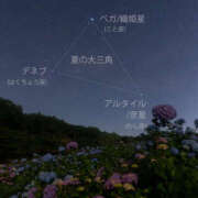 ヒメ日記 2025/07/07 17:45 投稿 れい 素人妻御奉仕倶楽部Hip's取手店