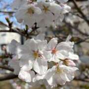 ヒメ日記 2025/03/29 11:29 投稿 堀川 なつみ Men's relaxation VEGA