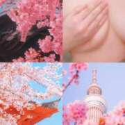 ヒメ日記 2025/04/03 13:01 投稿 堀川 なつみ Men's relaxation VEGA