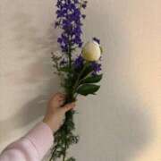 ヒメ日記 2026/05/02 19:00 投稿 堀川 なつみ Men's relaxation VEGA