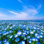 ヒメ日記 2025/01/09 17:38 投稿 かぐら 東京アロマスタイル