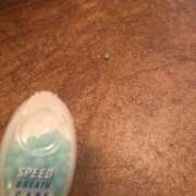 ヒメ日記 2025/03/17 18:36 投稿 やまと★ 恵里亜(エリア)