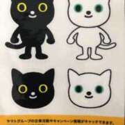 ヒメ日記 2025/07/08 11:48 投稿 やまと★ 恵里亜(エリア)