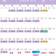 やまと★ 11月の御礼 恵里亜(エリア)