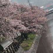 ヒメ日記 2026/04/10 14:21 投稿 やまと★ 恵里亜(エリア)