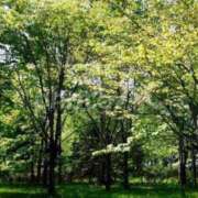 ヒメ日記 2025/02/17 21:36 投稿 三河真尋 お姉さんCLUB