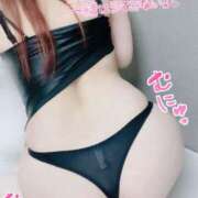 ヒメ日記 2025/01/11 14:35 投稿 るい 若葉