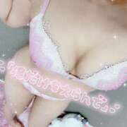 ヒメ日記 2025/02/16 10:17 投稿 るい 若葉